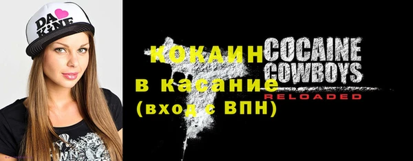 дживик Арсеньев