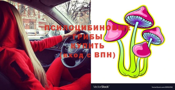 дживик Арсеньев