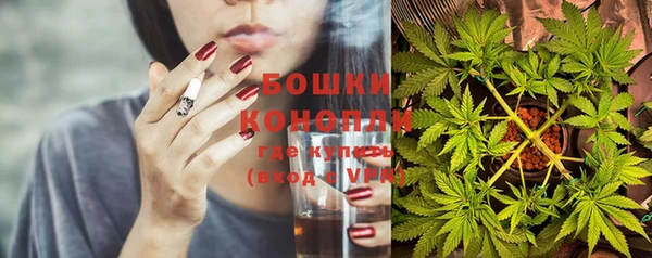дживик Аркадак
