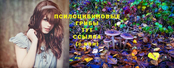 дживик Аркадак