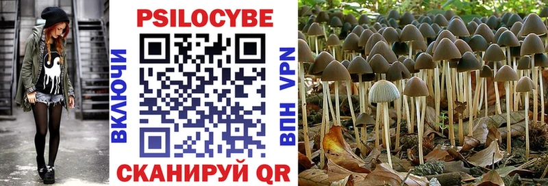 Псилоцибиновые грибы MAGIC MUSHROOMS  Приволжск 
