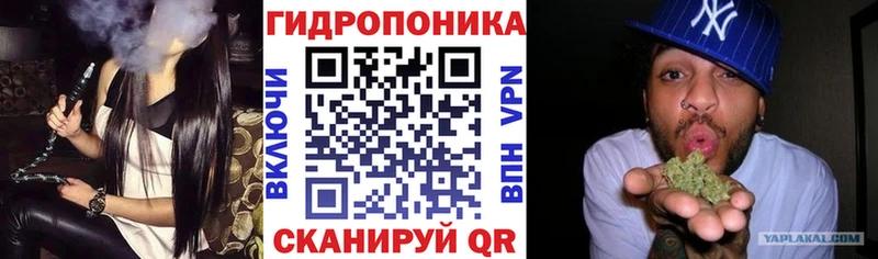 Конопля ГИДРОПОН  ОМГ ОМГ ссылка  Приволжск 